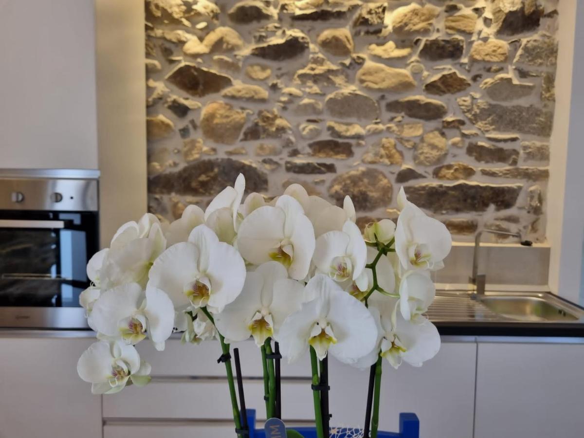 Appartement Stazzo San Teodoro La Quercia Piscina Condivisa Extérieur photo