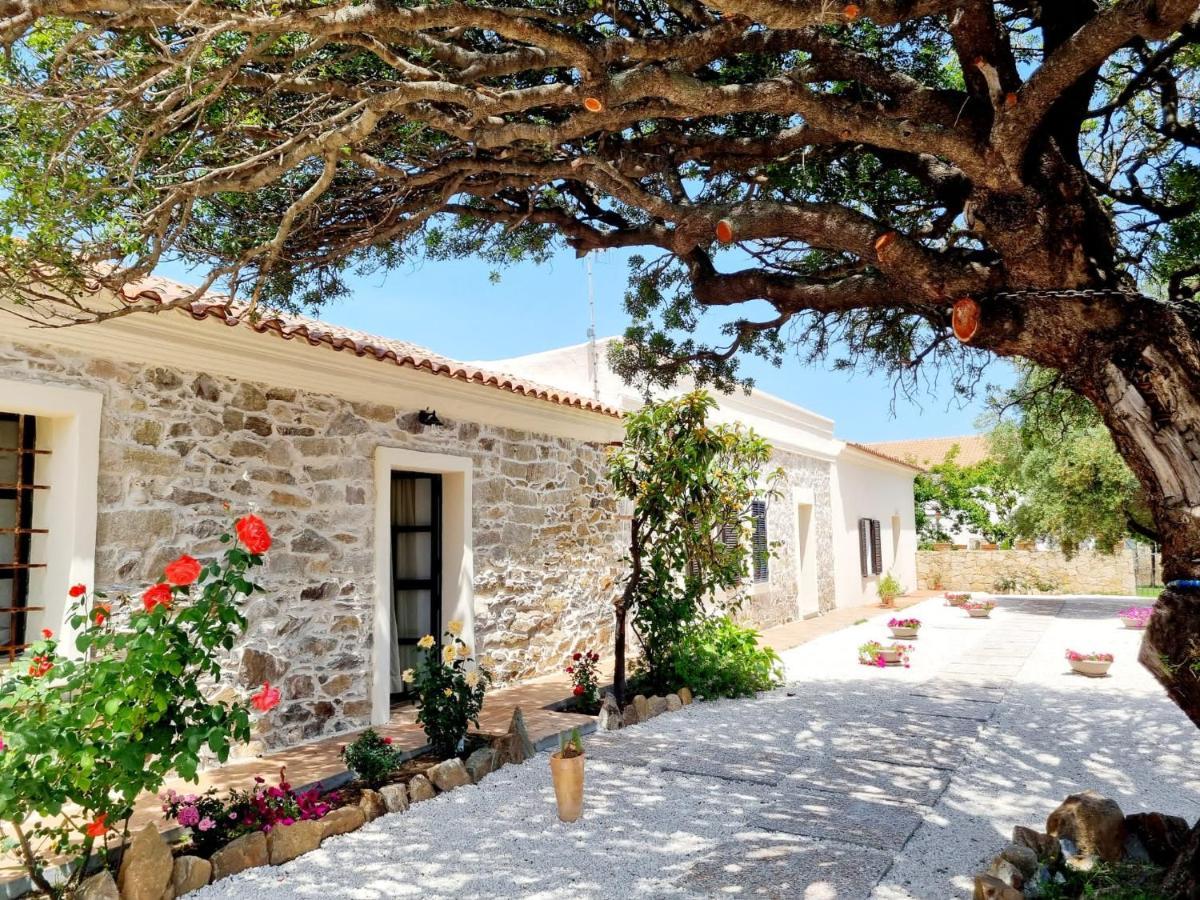 Appartement Stazzo San Teodoro La Quercia Piscina Condivisa Extérieur photo